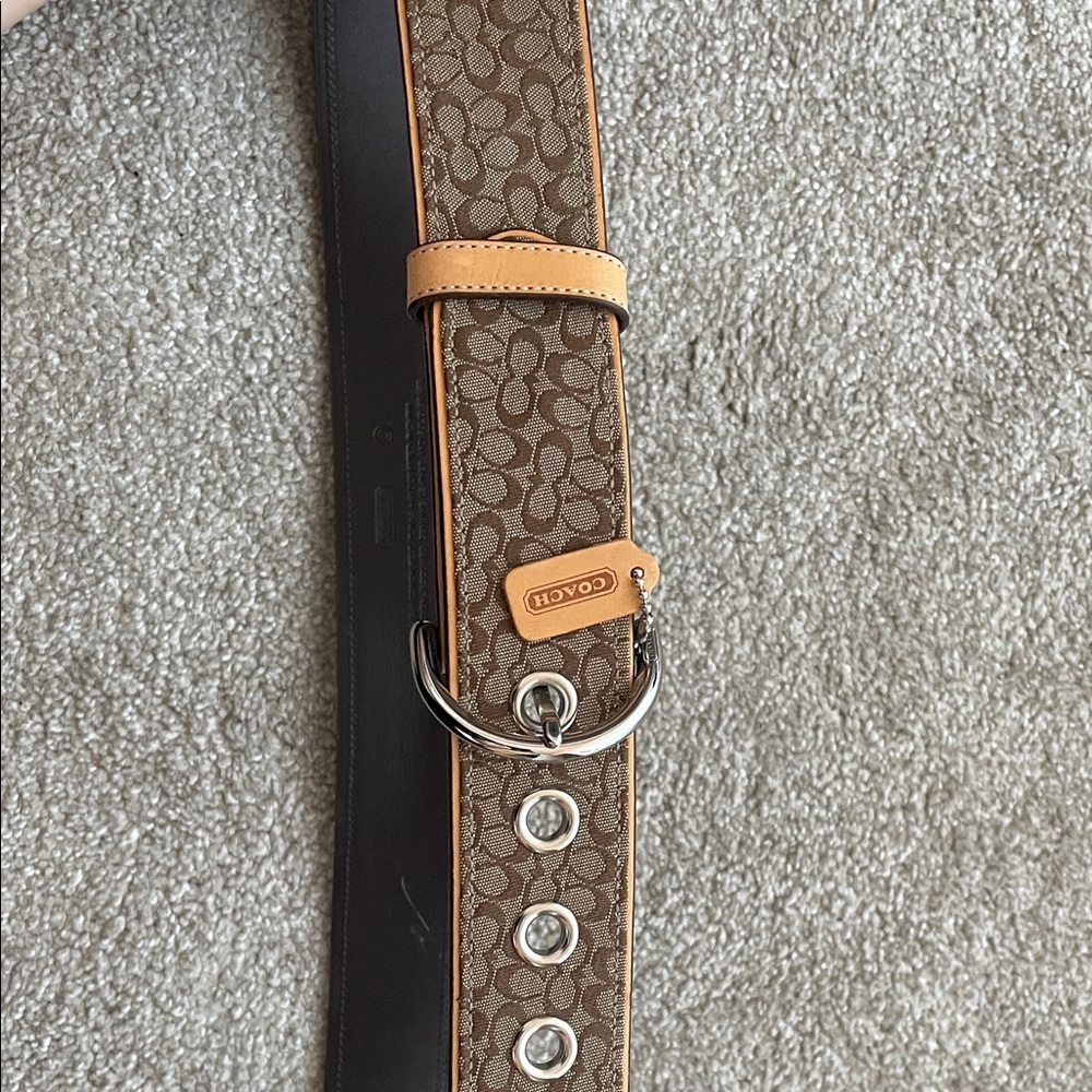 Coach Signature Brown Logo Belt